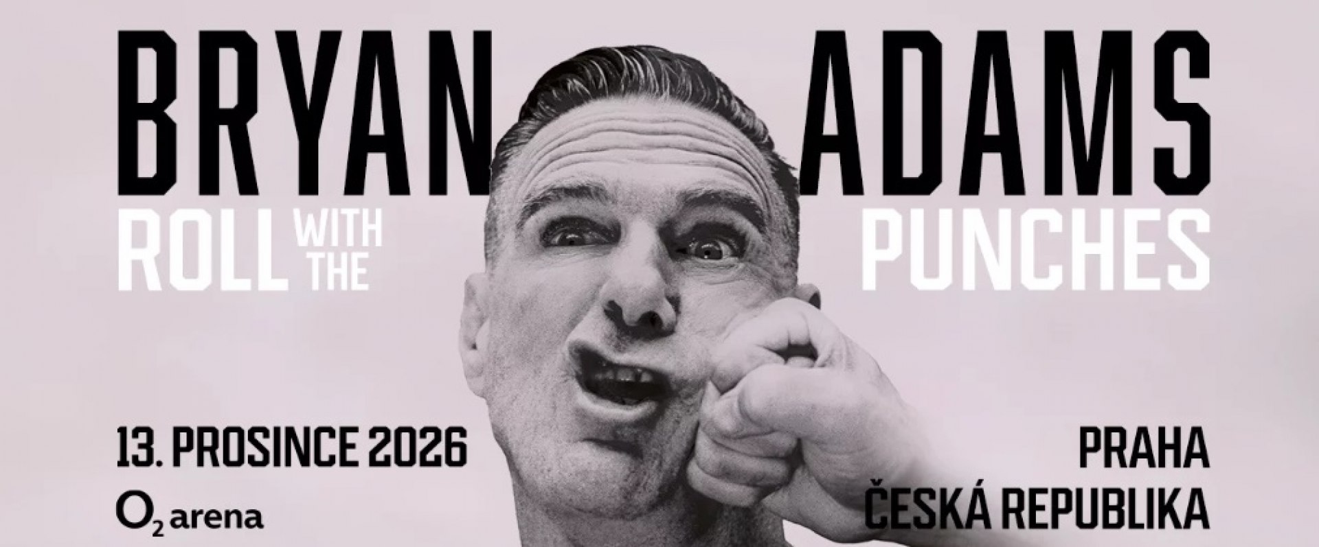 Bryan Adams, Roll With The Punches