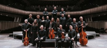 ヴォックス・ルミニス