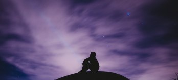 Le Petit Prince, La comédie musicale