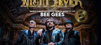 Night Fever, Un Tribut Bee Gees