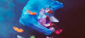 Bолшебная флейта