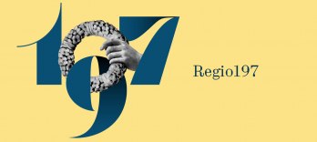 レジオ 197、コンサート