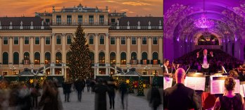 Mercatino di Natale e Concerto - Palazzo di Schönbrunn