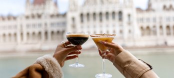 Cocktail Cruise Downtown Budapest
