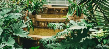 L’Enlèvement au sérail