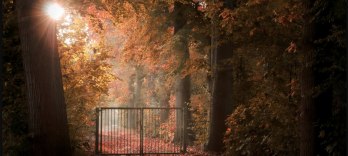 私たちの悲しみの鏡