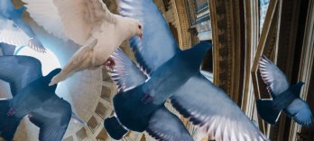 Милосердие Тита