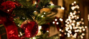 ヴェネツィアのクリスマス 2025