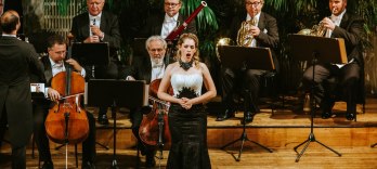 Wiener Hofburg Orchester, Strauss und Mozart Konzert