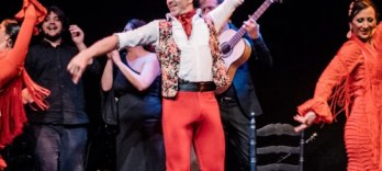 フラメンコ舞踊博物館 (Museo del Baile Flamenco)