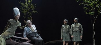 Ein Sommernachtstraum