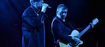 Monti Beton Kinks Night