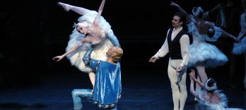 イリュージョン、白鳥の湖のように