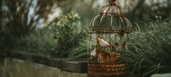 Der Vogelhändler, Carl Zeller