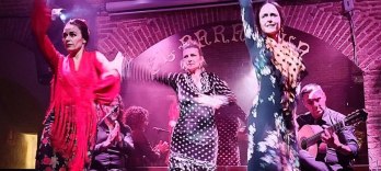 Шоу Tablao Flamenco El Paraigua
