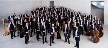 Vienna Symphony Orchestra Musikverein