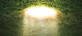 Alice au pays des merveilles