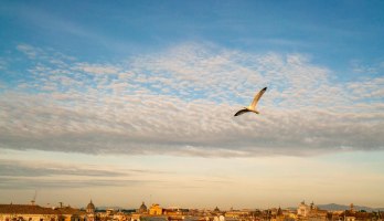 Vista Trastevere Roof Bar e Ristorante
