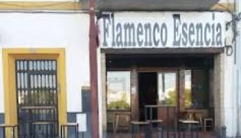 Flamenco Esencia