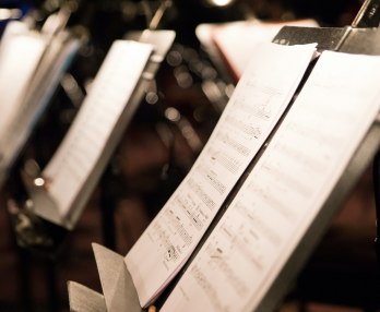 Nacimiento de una estrella, Concierto homenaje a Ema Destinnová